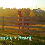 Kentucky 4 Board