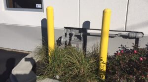 yellow-bollards